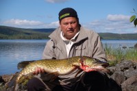 Gäddfiske Jämtland